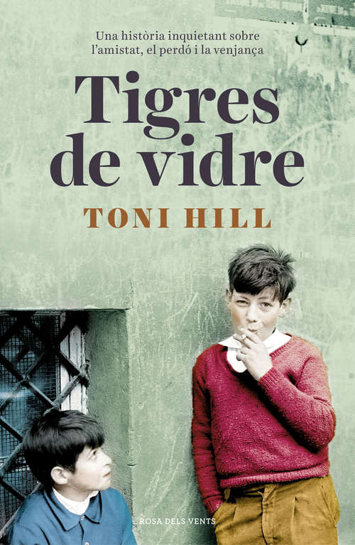 Book cover of Tigres de vidre