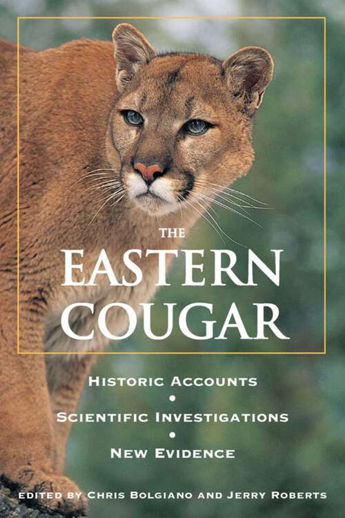 Book cover of Eastern Cougar