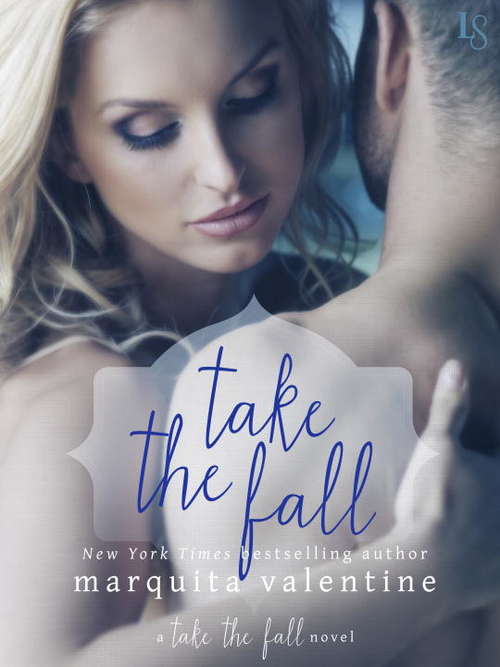 Book cover of Take the Fall