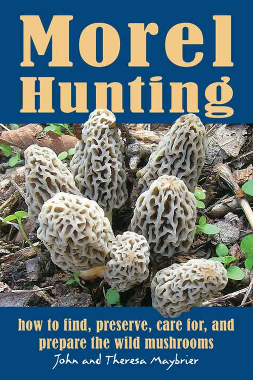 Book cover of Morel Hunting
