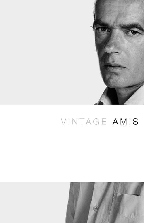 Book cover of Vintage Amis