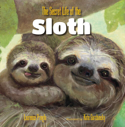 Book cover of The Secret Life of the Sloth (Secret Life Series)