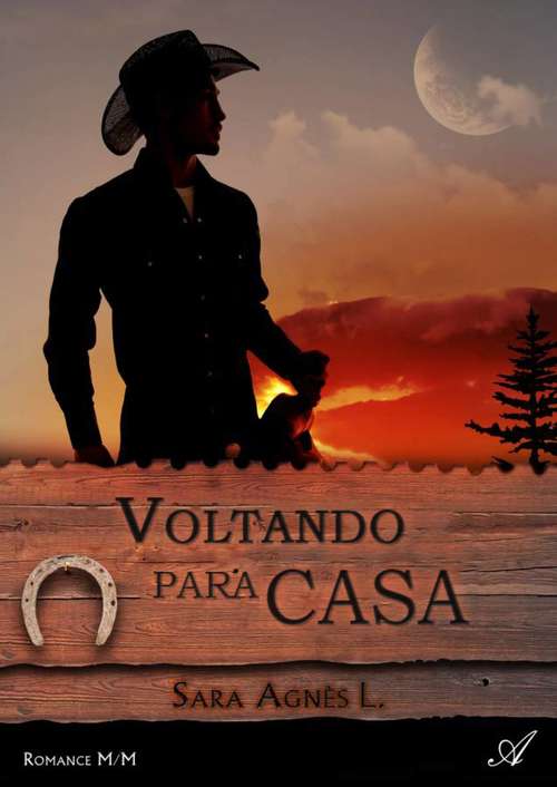 Book cover of Voltando para casa