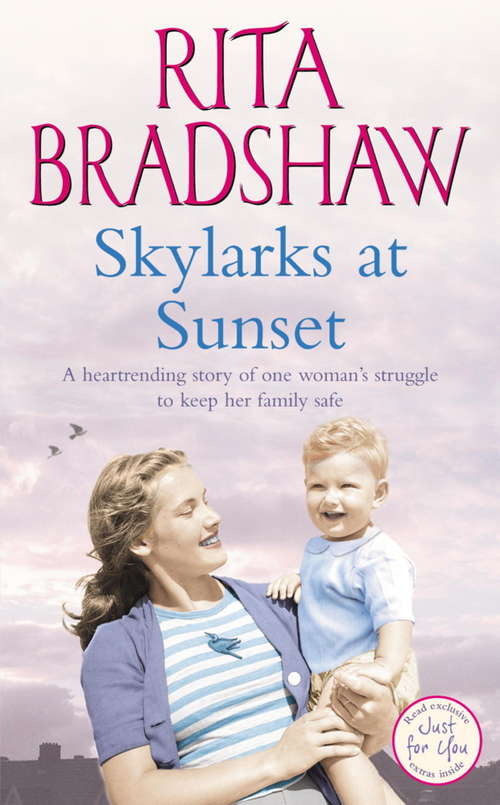 Book cover of Skylarks At Sunset