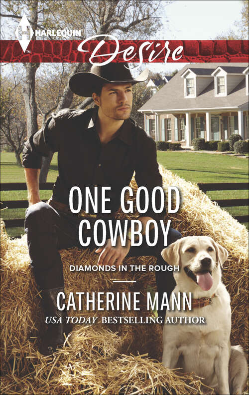 Book cover of One Good Cowboy