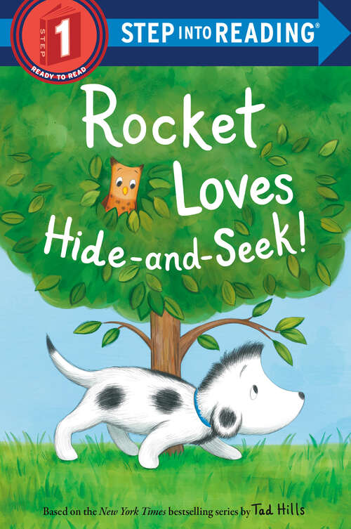 Book cover of Rocket Loves Hide-and-Seek! (Step into Reading)