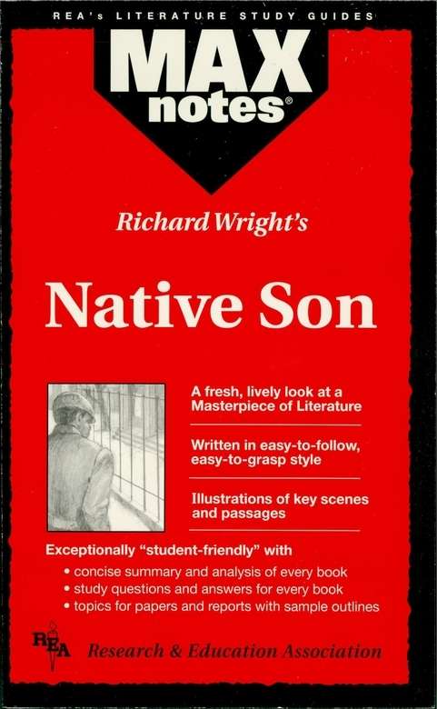 Book cover of Native Son (MAXNotes Literature Guides)