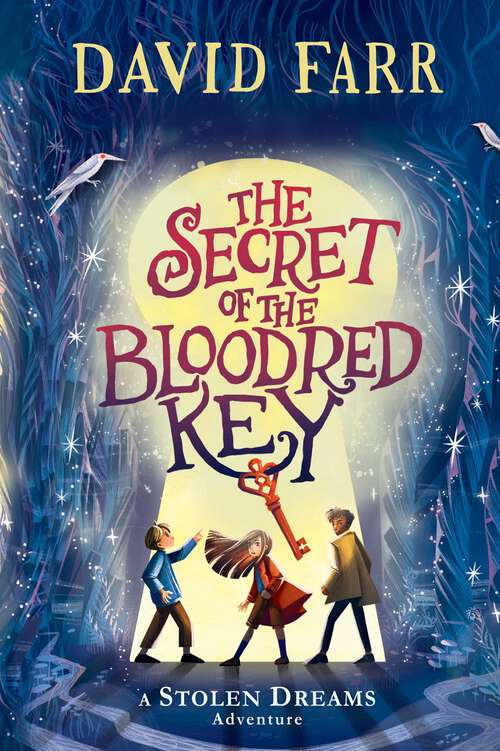 Book cover of The Secret of the Bloodred Key (The Stolen Dreams Adventures #2)