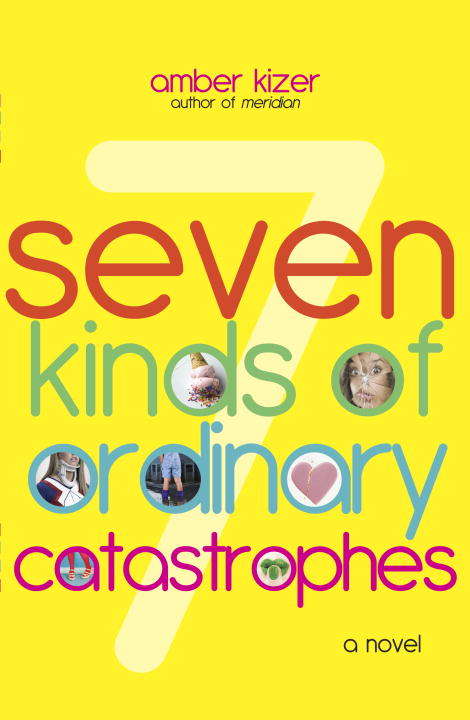 Book cover of 7 Kinds of Ordinary Catastrophes
