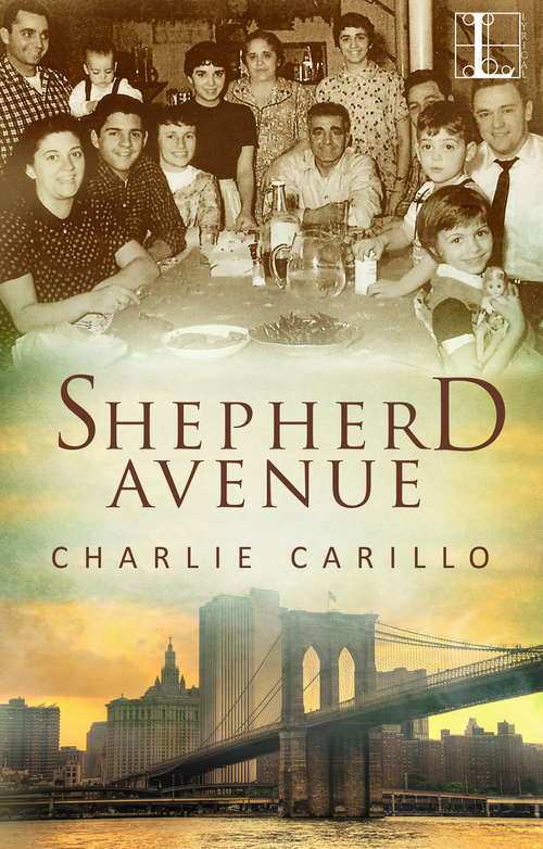 Book cover of Shepherd Avenue