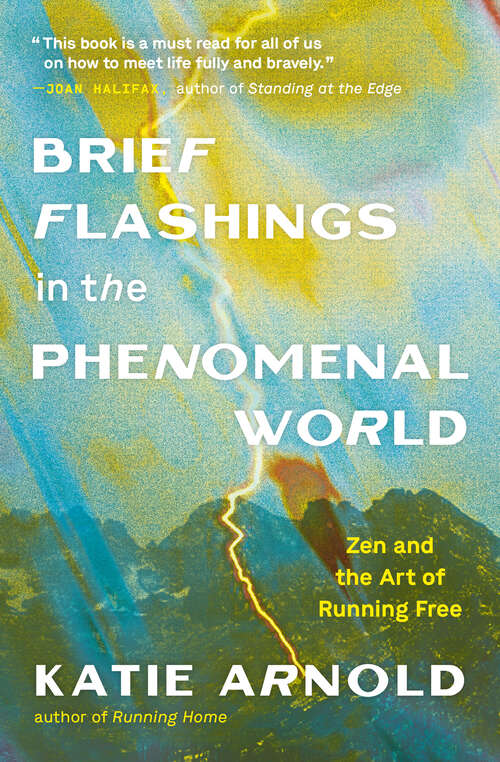 Book cover of Brief Flashings in the Phenomenal World