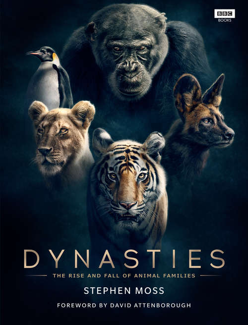 Book cover of Dynasties: The Rise and Fall of Animal Families