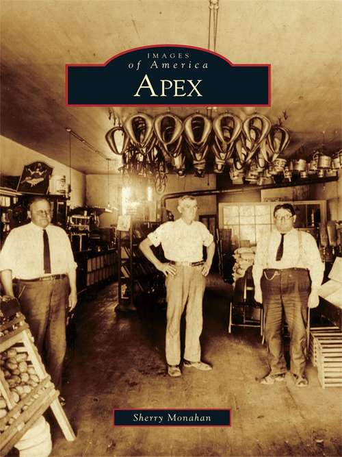 Book cover of Apex