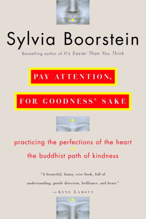 Book cover of Pay Attention, for Goodness' Sake