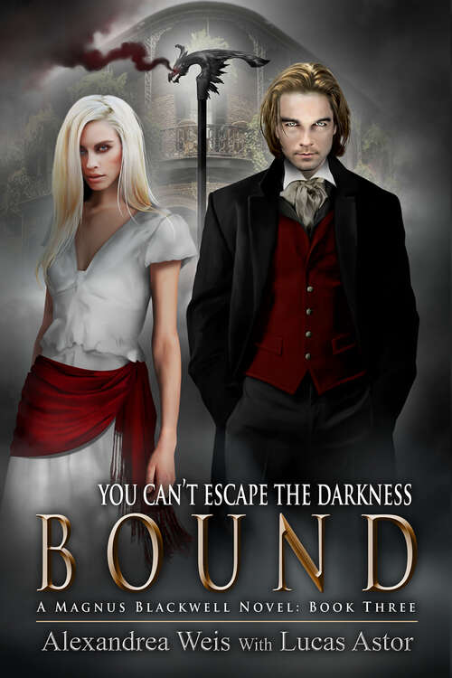 Book cover of Bound (Magnus Blackwell #3)