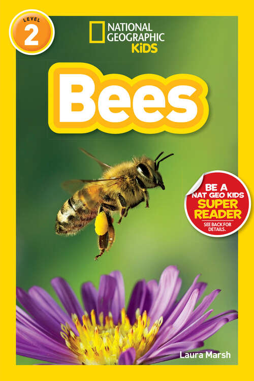 Book cover of Bees (Readers)