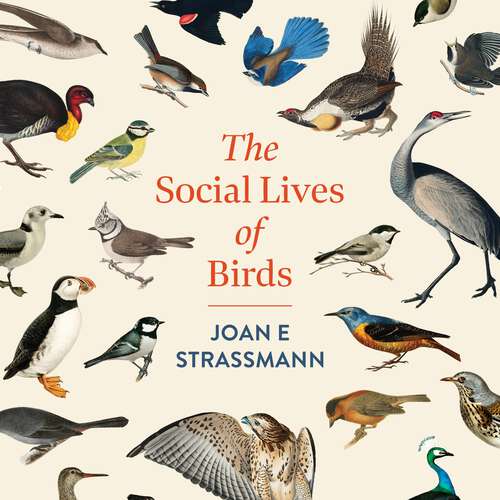 Book cover of The Social Lives of Birds