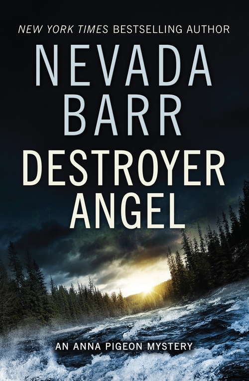 Destroyer Angel: A suspenseful thriller of the American wilderness (Anna Pigeon Mysteries #18)