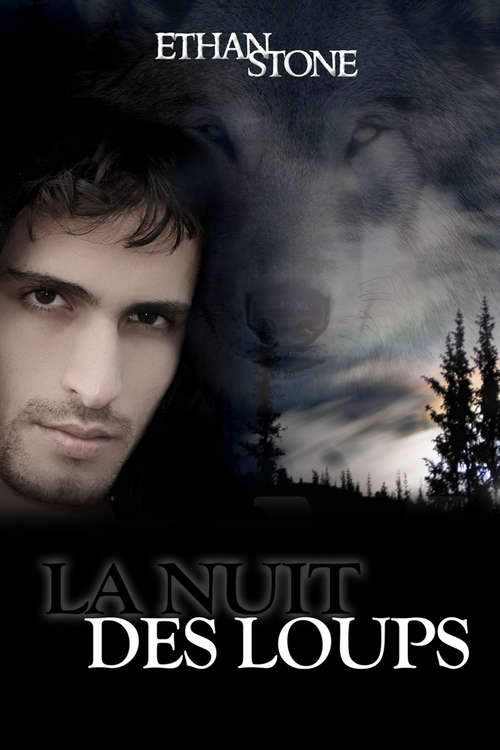 Book cover of La nuit des loups