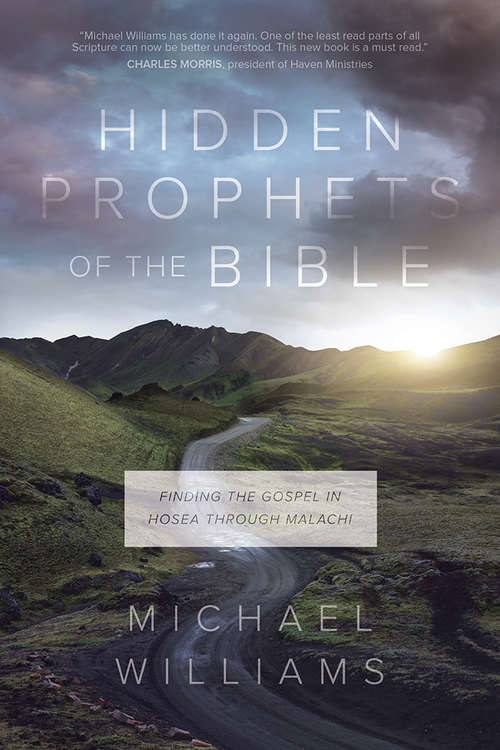 Book cover of Hidden Prophets of the Bible: Finding the Gospel in Hosea through Malachi