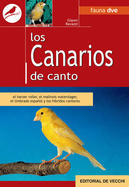 Book cover of Los canarios de canto