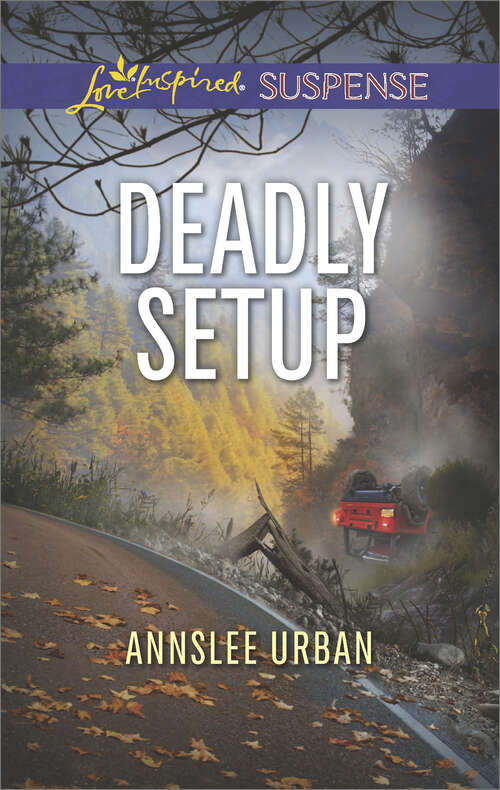 Book cover of Deadly Setup