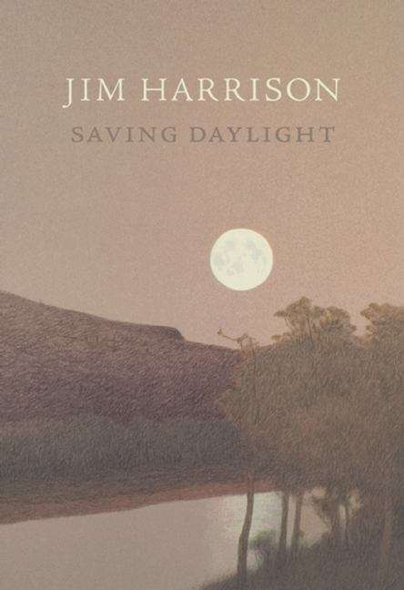 Book cover of Saving Daylight