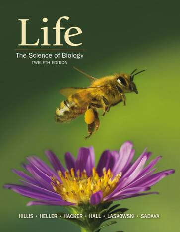Book cover of Life: The Science of Biology (Twelfth Edition)