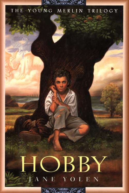 Book cover of Hobby