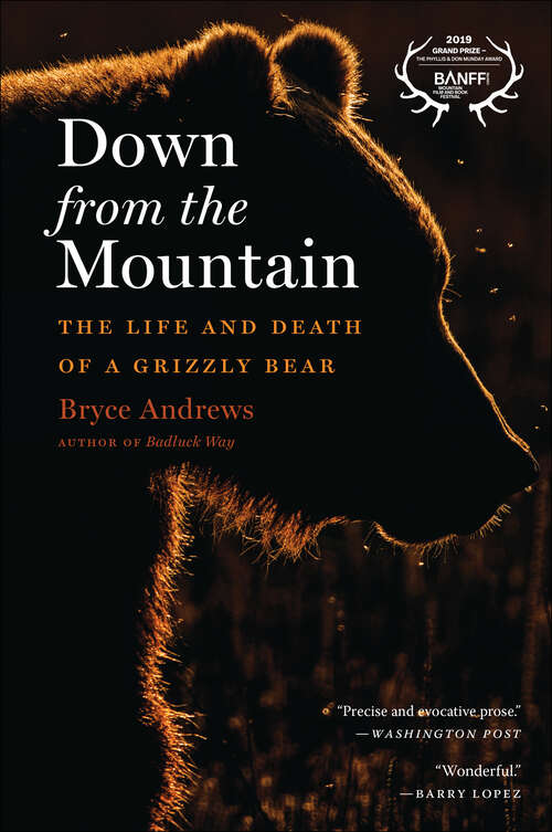 Book cover of Down from the Mountain: The Life and Death of a Grizzly Bear