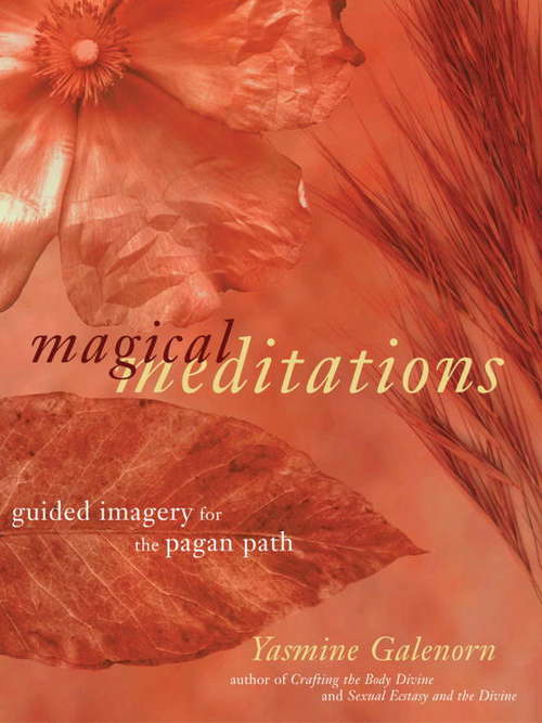 Book cover of Magical Meditations: Guided Imagery for the Pagan Path