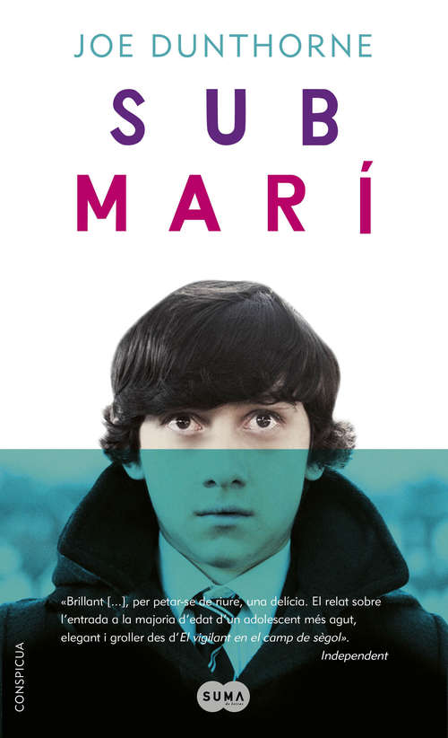 Book cover of Submarí