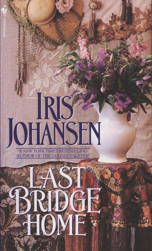 Book cover of Last Bridge Home