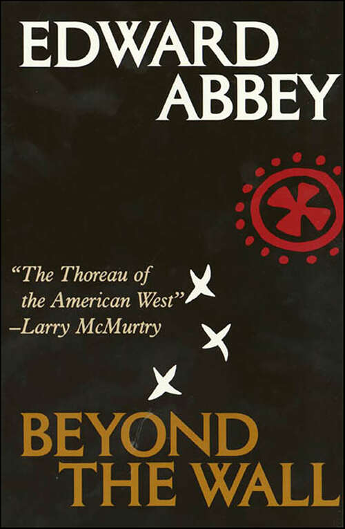 Book cover of Beyond the Wall