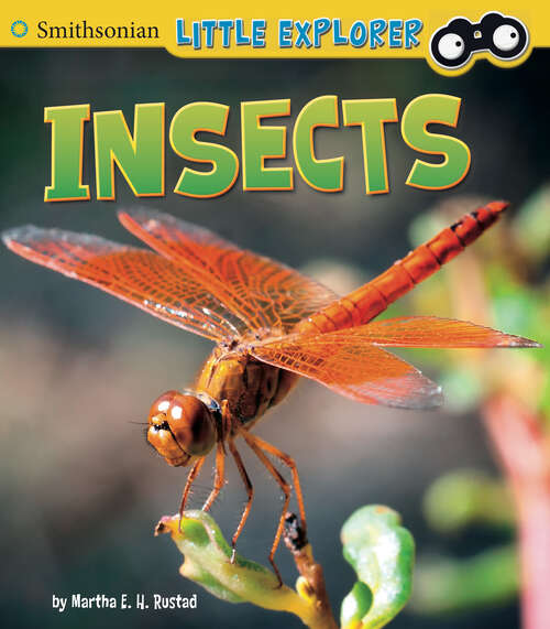Book cover of Insects (Little Scientist Ser.)