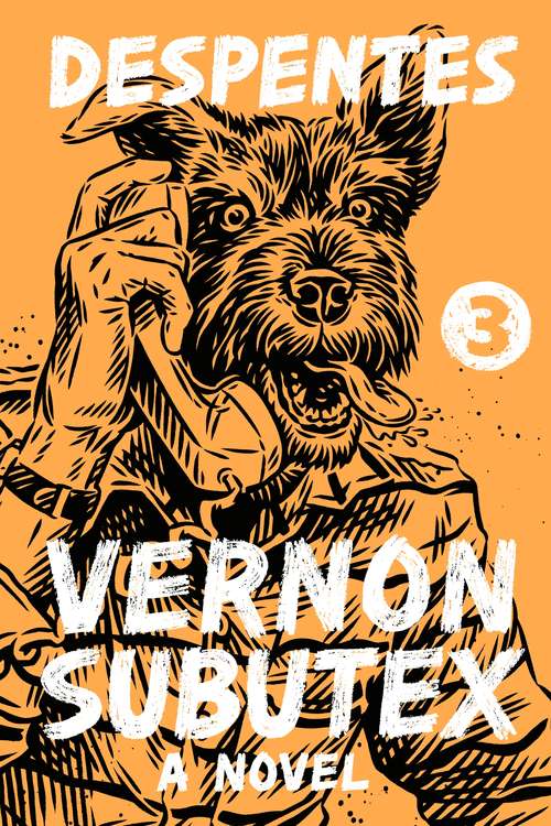 Vernon Subutex 3: A Novel (Vernon Subutex #3)