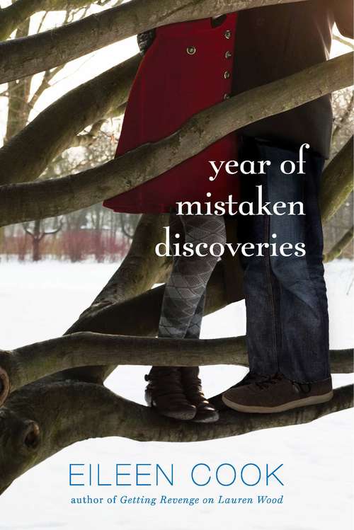 Book cover of Year of Mistaken Discoveries