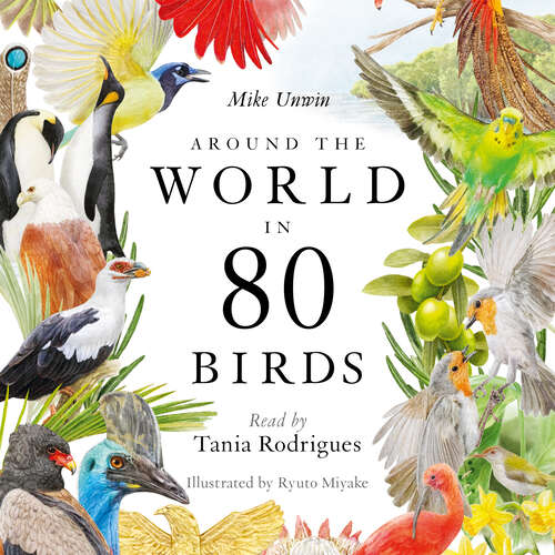 Book cover of Around the World in 80 Birds