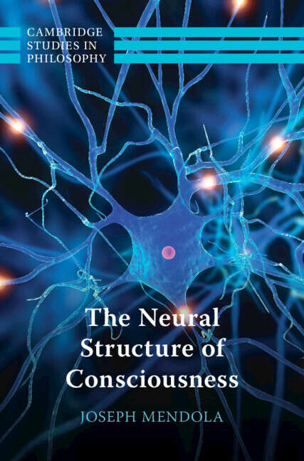 Book cover of The Neural Structure of Consciousness (Cambridge Studies in Philosophy)
