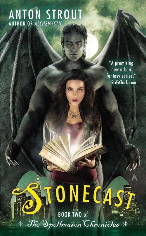 Book cover of Stonecast