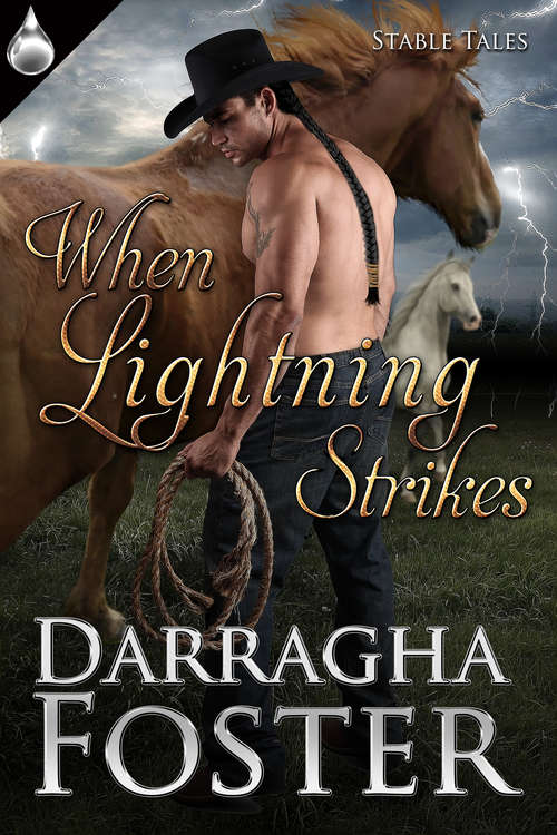 Book cover of When Lightning Strikes