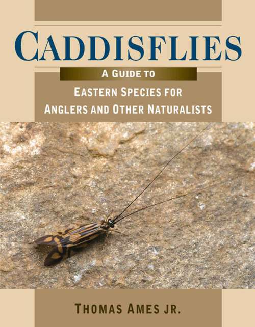 Book cover of Caddisflies: A Guide to Eastern Species for Anglers and Other Naturalists