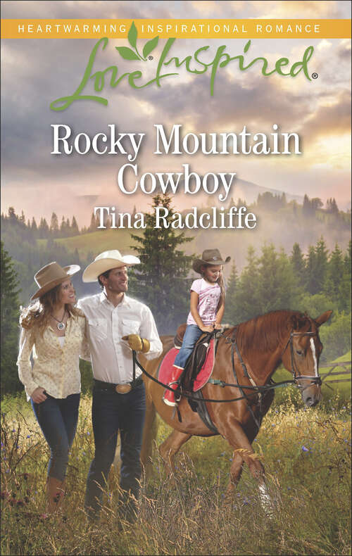 Book cover of Rocky Mountain Cowboy