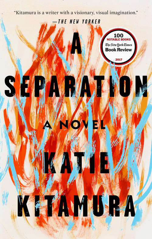 Book cover of A Separation: A Novel