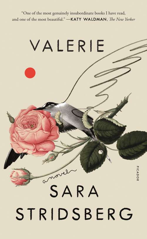 Book cover of Valerie: or, The Faculty of Dreams: A Novel