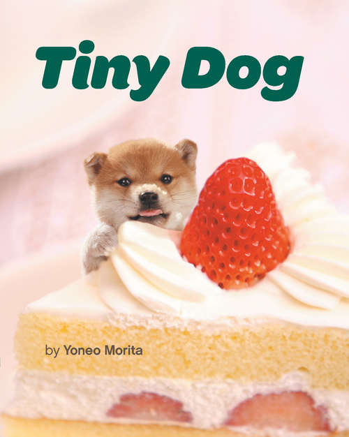 Book cover of Tiny Dog