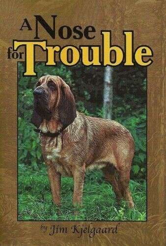 Book cover of A Nose For Trouble