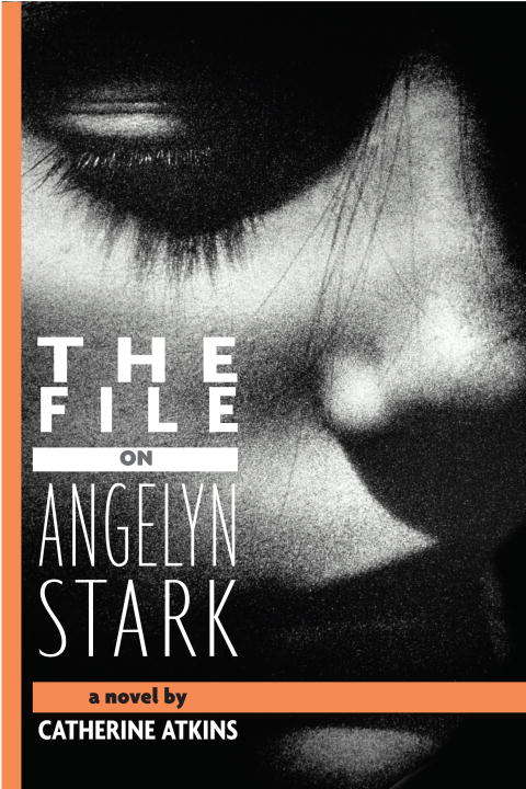 Book cover of The File on Angelyn Stark