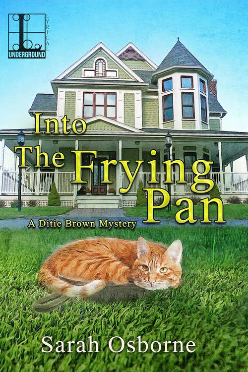 Book cover of Into the Frying Pan: A Southern Cozy Mystery Full of Country Cooking (A Ditie Brown Mystery #2)