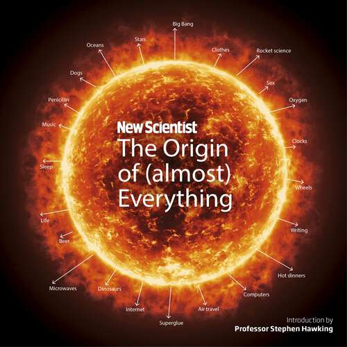 Book cover of New Scientist (almost) Everything: from the Big Bang to Belly-button Fluff
